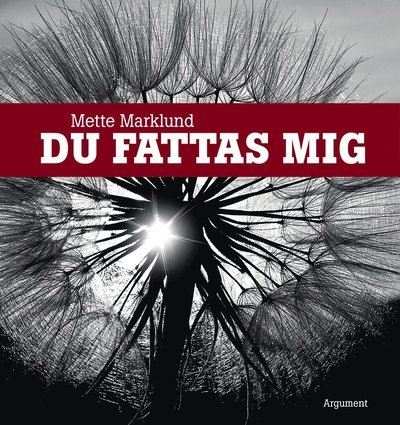 Du fattas mig - Mette Marklund - Bøker - Argument Förlag - 9789173153867 - 18. mars 2013