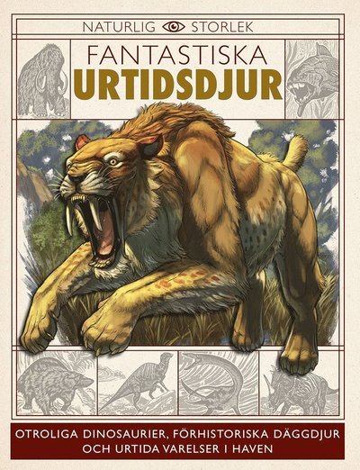 Cover for Dougal Dixon · Fantastiska urtidsdjur (Indbundet Bog) (2023)