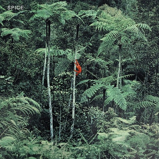 Spice (ltd. Opaque Grey Vinyl) - Spice - Musik - DAIS RECORDS - 0011586674868 - 5. august 2022