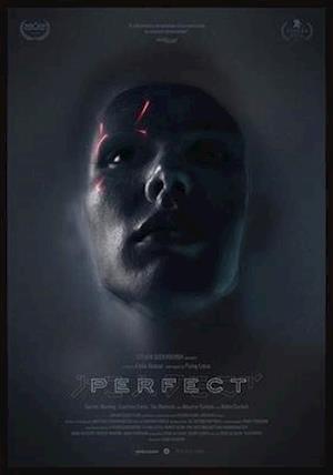 Cover for Perfect (DVD) (2020)