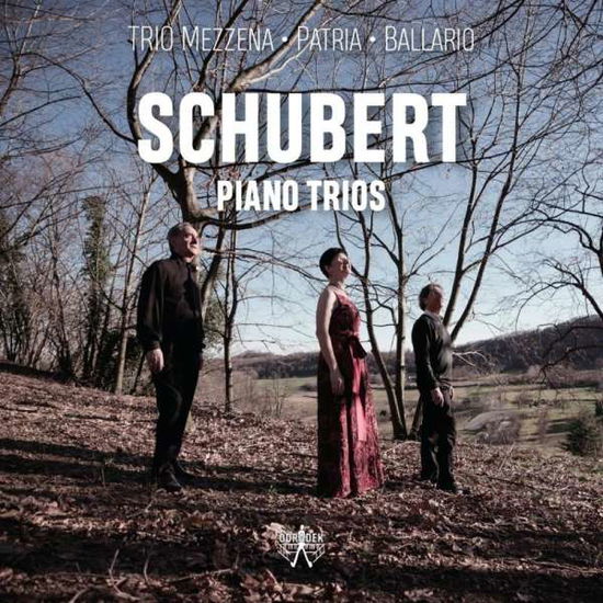 Cover for Trio Mezzena - Patria - Ballario · Piano Trios (CD) (2021)