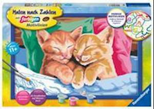 Ravensburger Malen nach Zahlen 28986 - Verschmuste Kätzchen - Kinder ab 11 Jahren - Ravensburger Spieleverlag - Jogo de tabuleiro - Ravensburger Spieleverlag - 4005556289868 - 1 de setembro de 2021