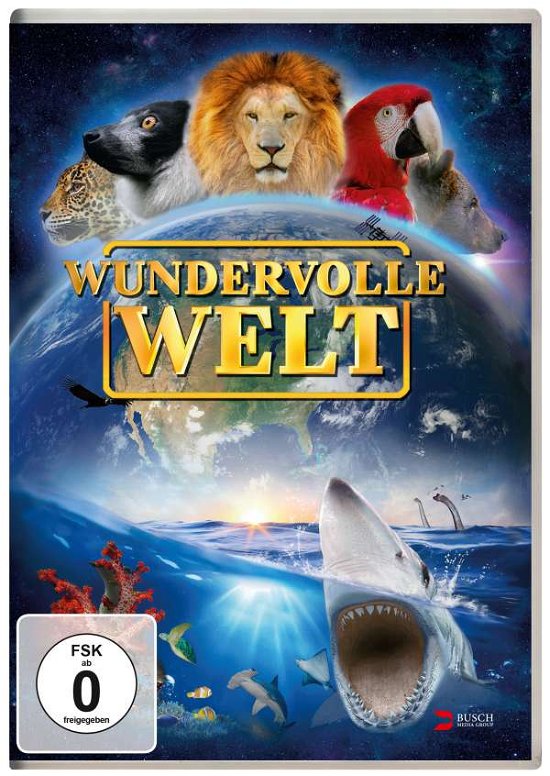 Cover for Hofmannkalle Max · Wundervolle Welt (DVD) (2016)