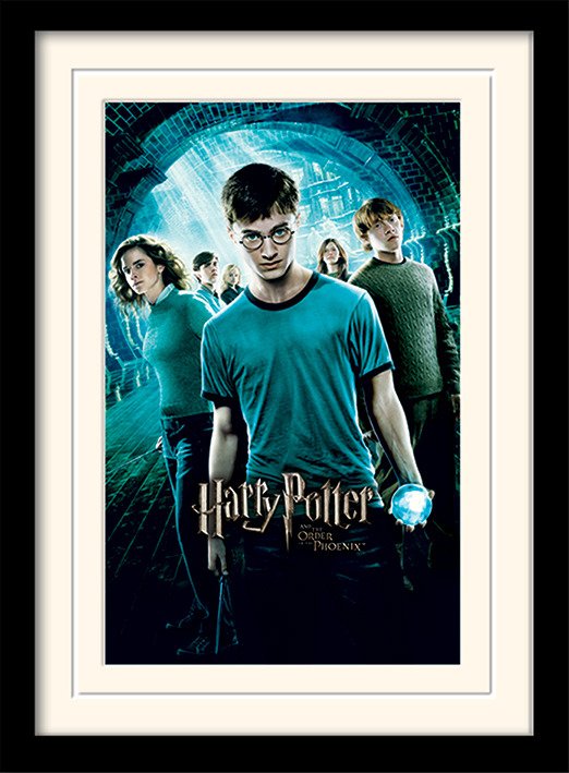 Cover for Harry Potter · HARRY POTTER - Mounted &amp; Framed 30X40 Print - Orde (MERCH) (2019)