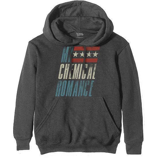Cover for My Chemical Romance · My Chemical Romance Unisex Pullover Hoodie: Raceway (Hoodie) [size S] [Grey - Unisex edition]