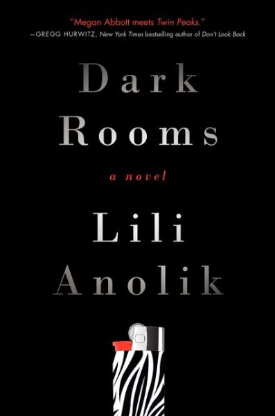 Cover for Lili Anolik · Dark Rooms: a Novel (Hardcover Book) (2015)