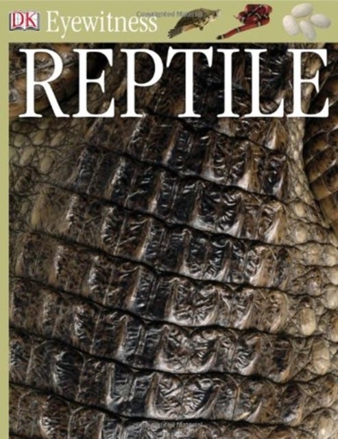 Cover for Reptile (N/A)