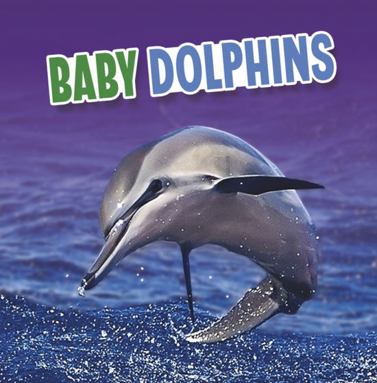 Cover for Martha E. H. Rustad · Baby Dolphins - Baby Animals (Paperback Bog) (2023)