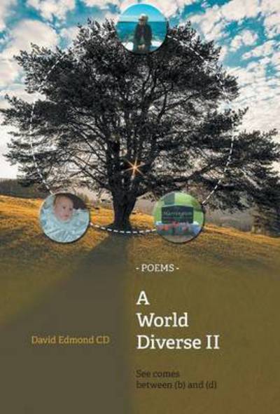 Cover for David Edmond · A World Diverse Ii: See Comes Between (B) and (D) (Hardcover Book) (2015)