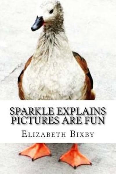 Cover for Elizabeth a Bixby · Sparkle Explains Pictures Are Fun (Paperback Book) (2013)
