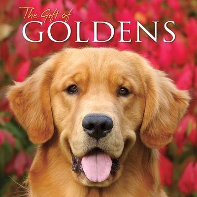 Cover for Willow Creek Press · The Gift Of Goldens (Hardcover Book) (2012)