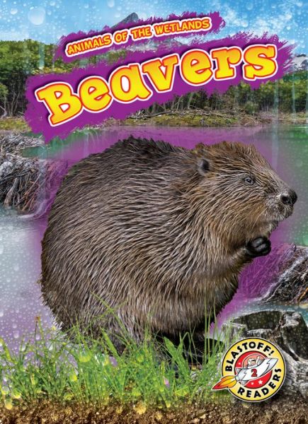 Cover for Rachel Grack · Beavers (Hardcover Book) (2019)