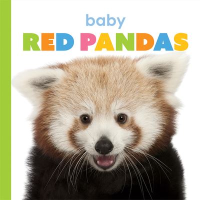 Cover for Kate Riggs · Baby Red Pandas (Book) (2020)