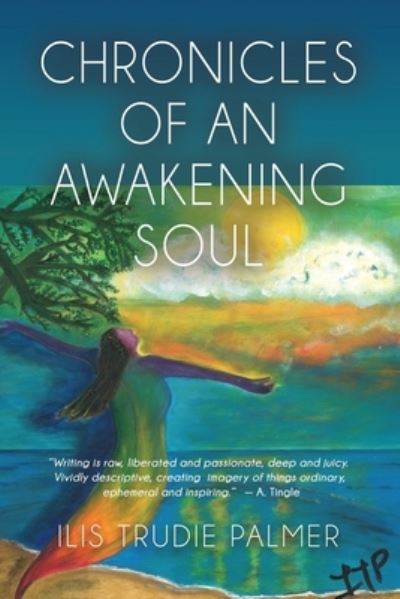 Cover for Ilis Trudie Palmer · Chronicles of an Awakening Soul (Paperback Book) (2021)