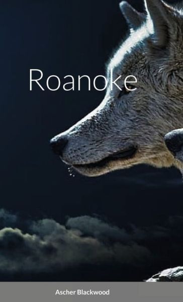 Cover for Ascher Blackwood · Roanoke (Gebundenes Buch) (2021)