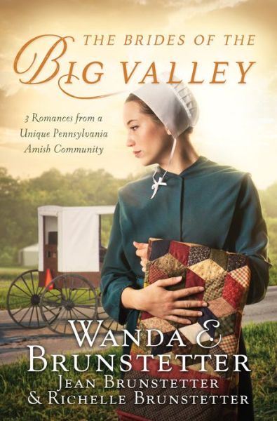 Cover for The Brides of the Big Valley (Book) (2019)