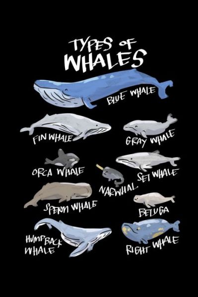 Types Of Whales Blue Whale Fin Whale Grey Whale Orca Whale Set Whale Narwhal Sperm Whale Beluga Humpback Whale Right Whale - James Anderson - Books - Independently Published - 9781705803868 - November 5, 2019