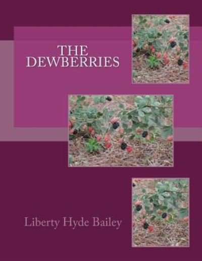 Cover for Liberty Hyde Bailey · The Dewberries (Paperback Book) (2017)