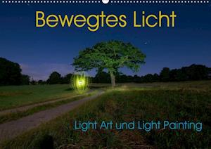 Cover for Gerard · Bewegtes Licht - Light Art und L (Book)