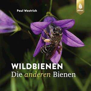 Paul Westrich · Wildbienen, die anderen Bienen (Buch) (2024)