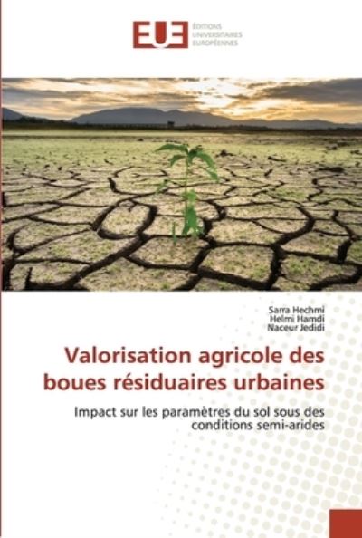 Cover for Sarra Hechmi · Valorisation agricole des boues residuaires urbaines (Paperback Book) (2020)