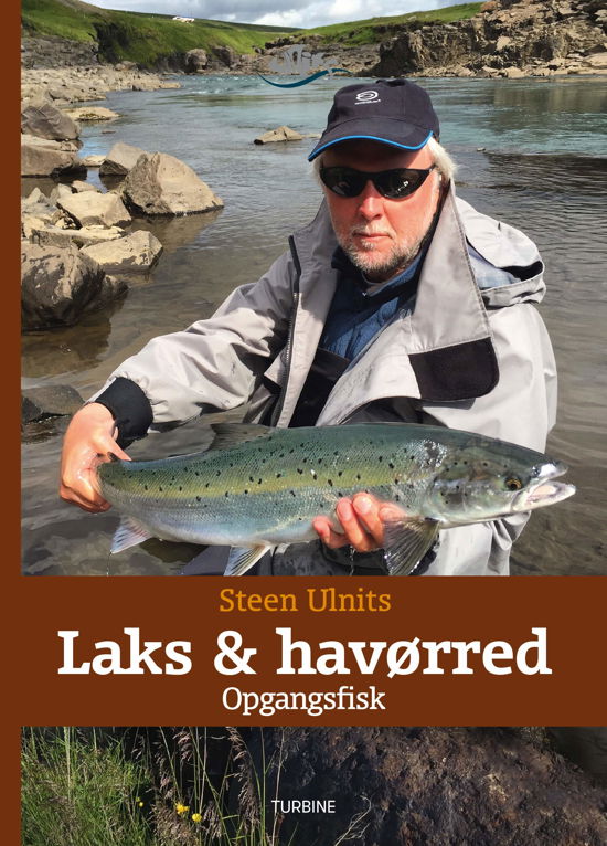 Cover for Steen Ulnits · Laks og havørred - Opgangsfisk (Hardcover Book) [1º edição] (2019)