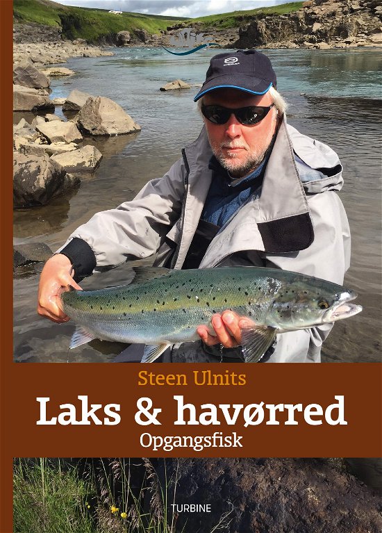 Cover for Steen Ulnits · Laks og havørred - Opgangsfisk (Gebundenes Buch) [1. Ausgabe] (2019)