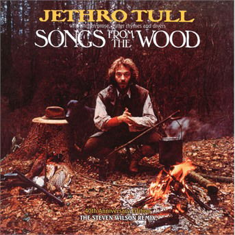 Songs From The Wood - Jethro Tull - Musik - PARLOPHONE - 0190295847869 - 21. juli 2017