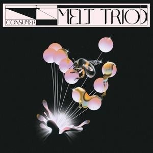 Cover for Melt Trio · Consumer (CD) [Digipak] (2022)