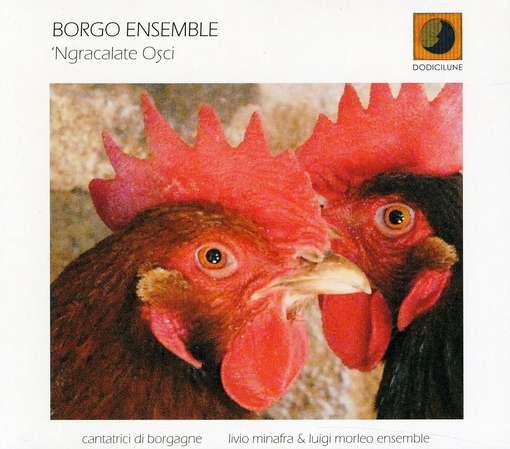 Cover for Borgo Ensemble · Ngracalate Osci (CD) (2011)