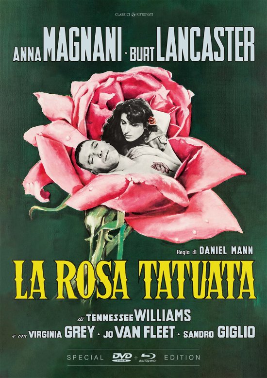 Rosa Tatuata (La) (Special Edition) (Dvdblu-Ray Mod) - Virginia Greyburt Lancasteranna Magnanimarisa Pava - Elokuva -  - 8056351625869 - keskiviikko 24. toukokuuta 2023
