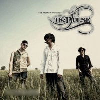 Homing Instinct - Pulse - Music - UNKO - 8808678305869 - September 6, 2011