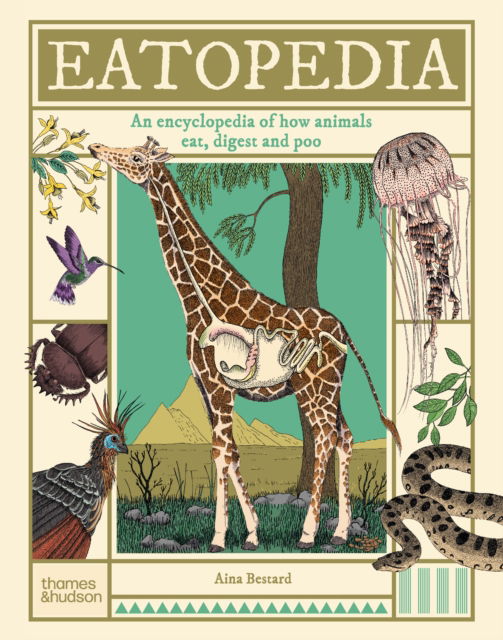 Cover for Aina Bestard · Eatopedia: An encyclopedia of how animals eat, digest and poo (Hardcover Book) (2024)