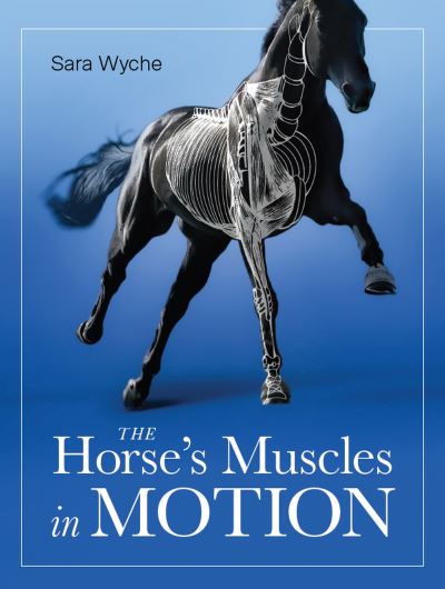 Cover for Sara Wyche · Horse's Muscles in Motion (Paperback Book) (2022)