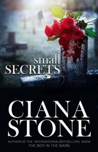 Cover for Ciana Stone · Small Secrets (Paperback Bog) (2021)