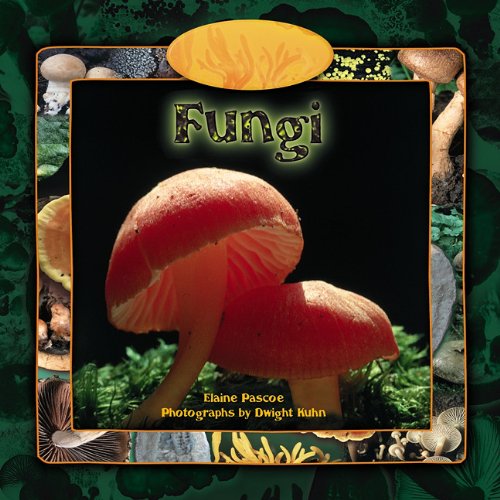 Cover for Elaine Pascoe · Fungi (Tony Stead Nonfiction Independent Reading Collections) (Paperback Book) (2006)