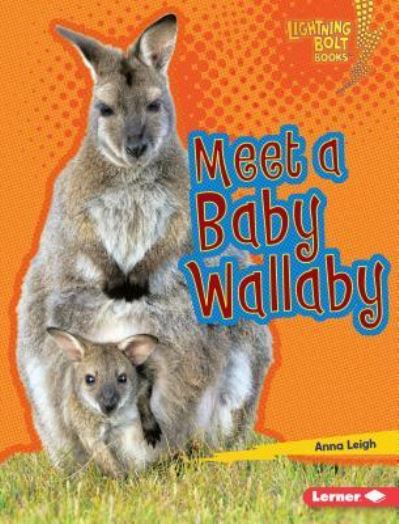 Cover for Anna Leigh · Meet a baby wallaby (Book) (2017)