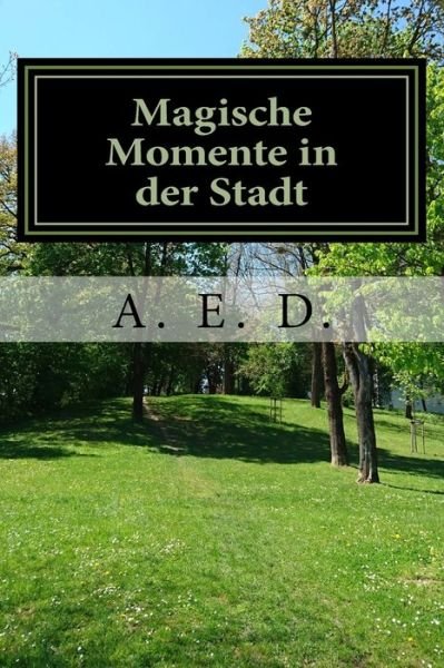 Cover for A E D · Magische Momente in der Stadt (Pocketbok) (2017)