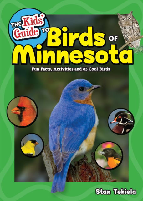 Cover for Stan Tekiela · The Kids' Guide to Birds of Minnesota: Fun Facts, Activities and 85 Cool Birds - Birding Children's Books (Pocketbok) (2018)