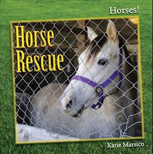 Cover for Katie Marsico · Horse Rescue (Book) (2013)