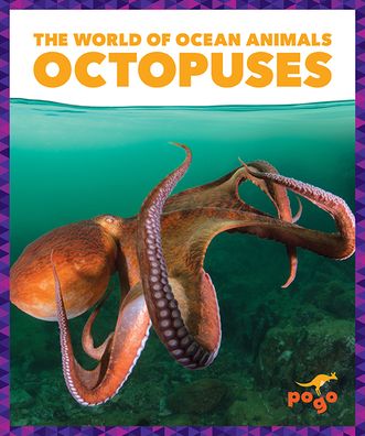 Cover for Bizzy Harris · Octopuses (Paperback Book) (2022)