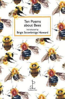 Cover for Ten Poems about Bees (Paperback Book) (2019)