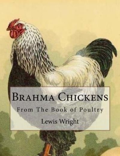 Cover for Lewis Wright · Brahma Chickens (Paperback Bog) (2017)