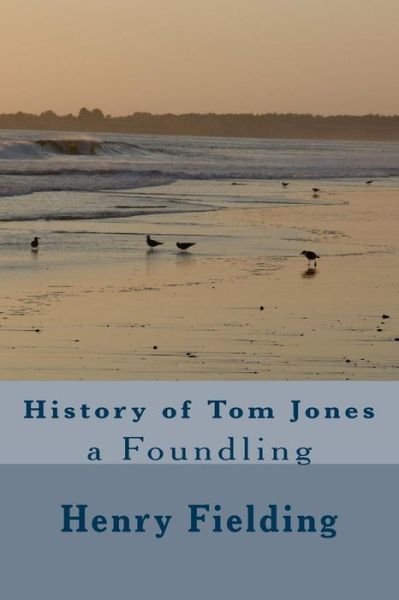 The History of Tom Jones - Henry Fielding - Bücher - CreateSpace Independent Publishing Platf - 9781984223869 - 26. Januar 2018