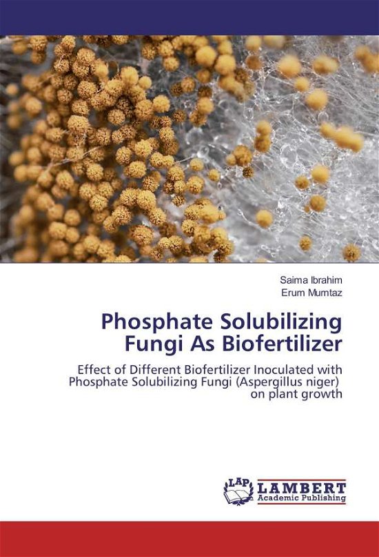 Cover for Ibrahim · Phosphate Solubilizing Fungi As (Book)