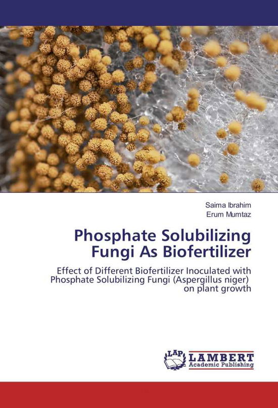 Cover for Ibrahim · Phosphate Solubilizing Fungi As (Book)