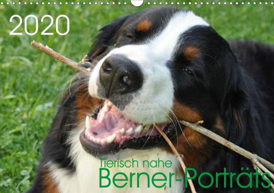 Cover for Brenner · Tierisch nahe Berner-Porträts ( (Book)