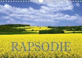 Cover for Pfleger · Rapsodie (Wandkalender 2020 DIN (Buch)