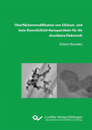 Cover for Robert Bywalez · Oberflächenmodifikation von Silizium- und beta-Eisendisilizid-Nanopartikeln für die druckbare Elektronik (Paperback Book) (2015)