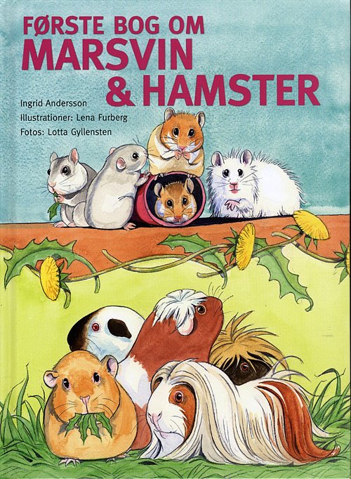 Første bog om marsvin og hamster - Ingrid Andersson - Bøger - Atelier - 9788778575869 - 14. oktober 2009